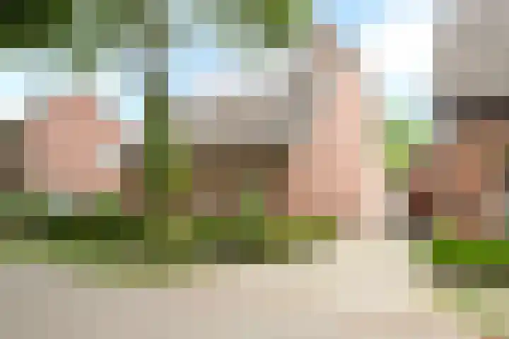 Hulsbossen 20 Hooge Mierde thumbnail 34