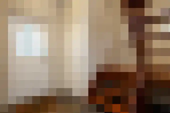 Hulsbossen 20 Hooge Mierde thumbnail 5
