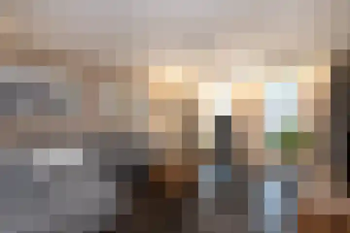 Hulsbossen 20 Hooge Mierde thumbnail 7