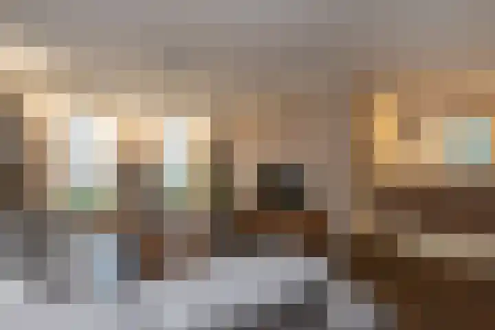Hulsbossen 20 Hooge Mierde thumbnail 8