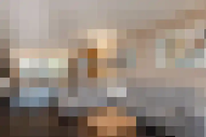 Hulsbossen 20 Hooge Mierde thumbnail 9