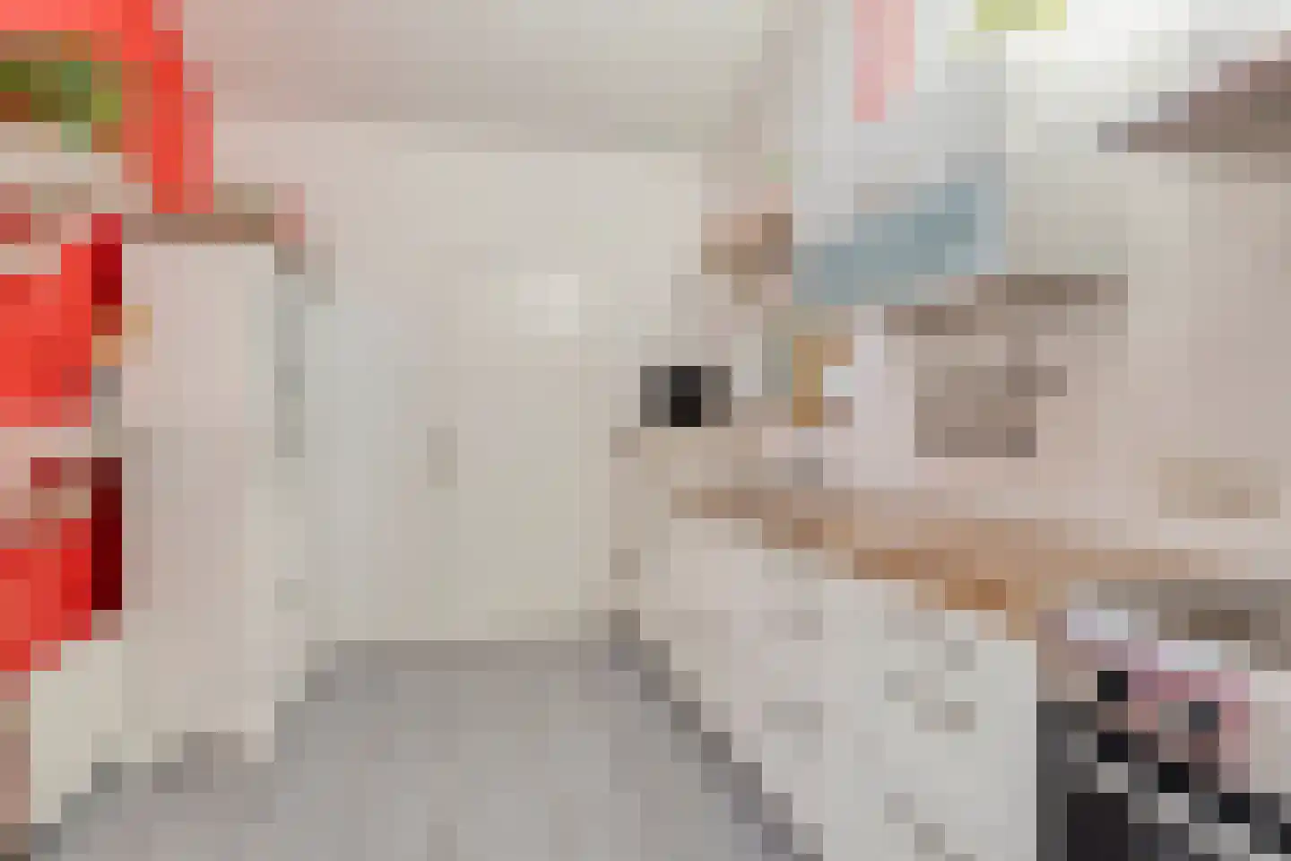 Hulsdonk 40 Terheijden thumbnail 17