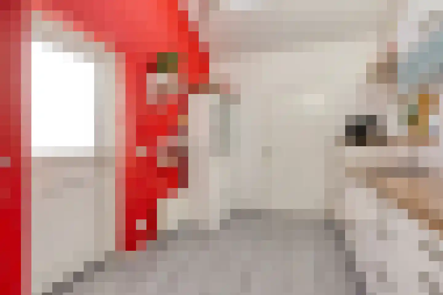 Hulsdonk 40 Terheijden thumbnail 19