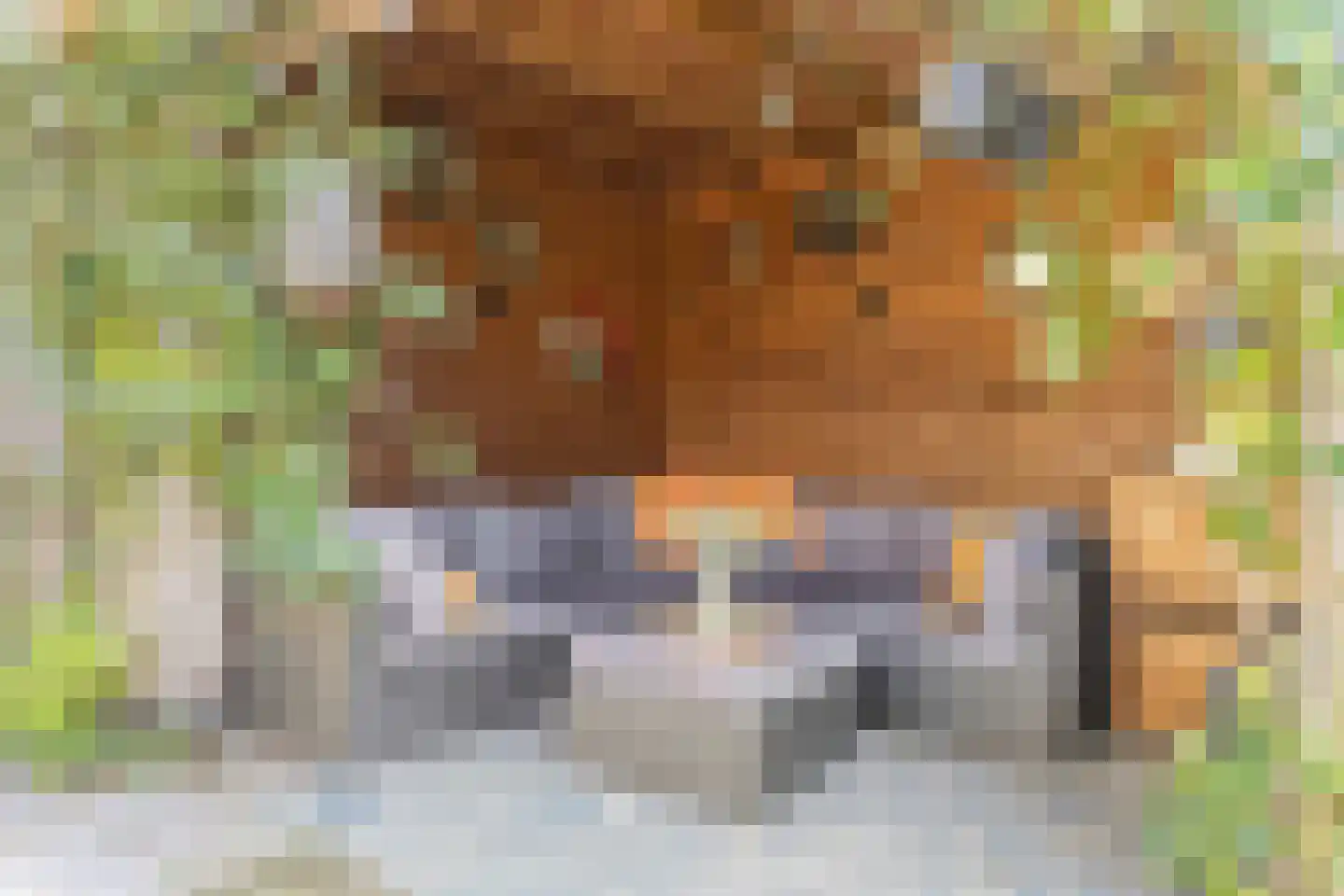 Hulsdonk 40 Terheijden thumbnail 5