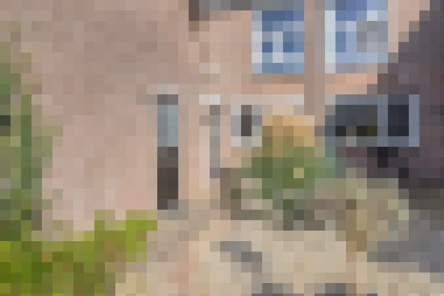 Hulsdonk 40 Terheijden thumbnail 7