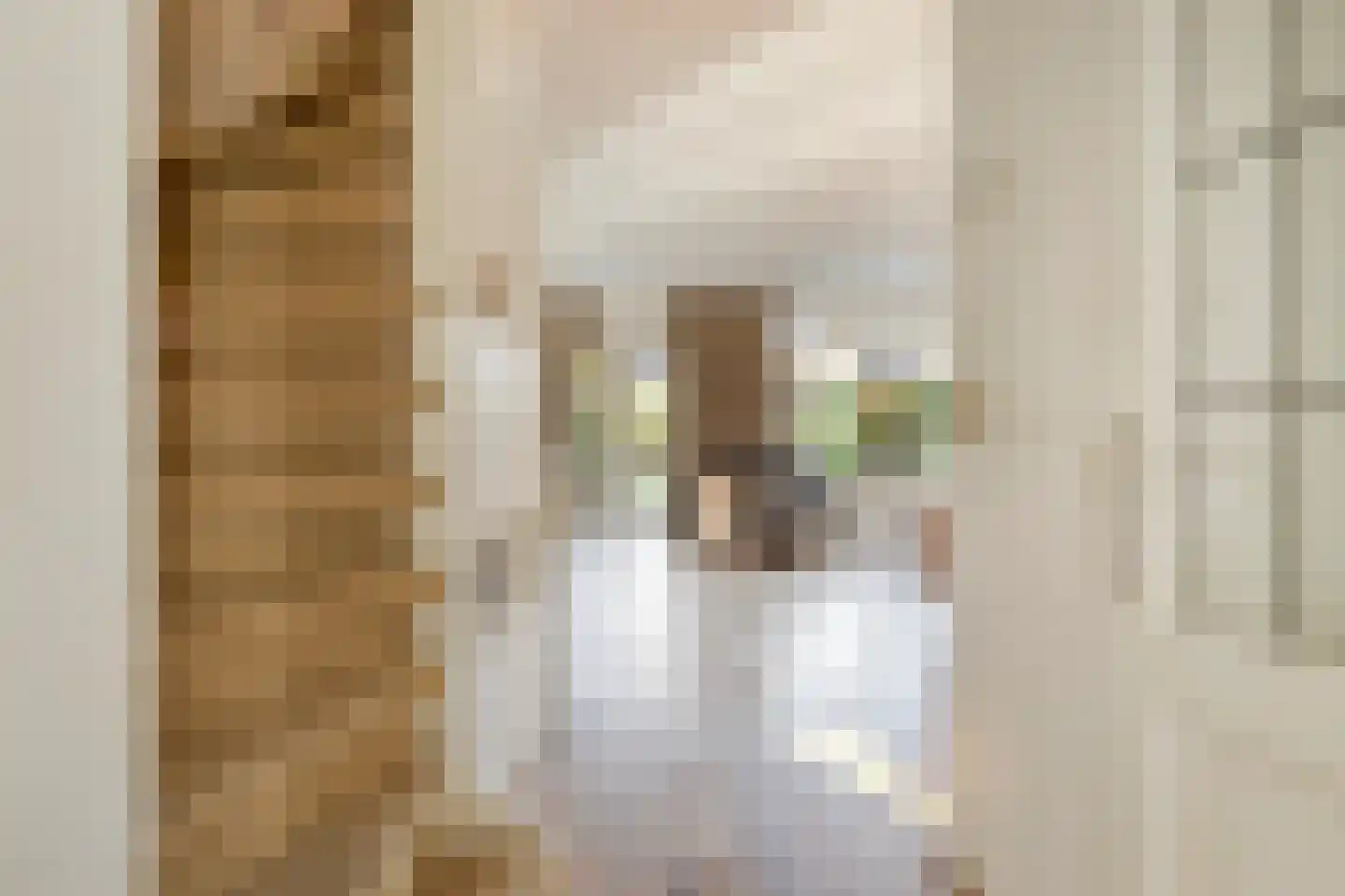 Hulsdonk 40 Terheijden thumbnail 9