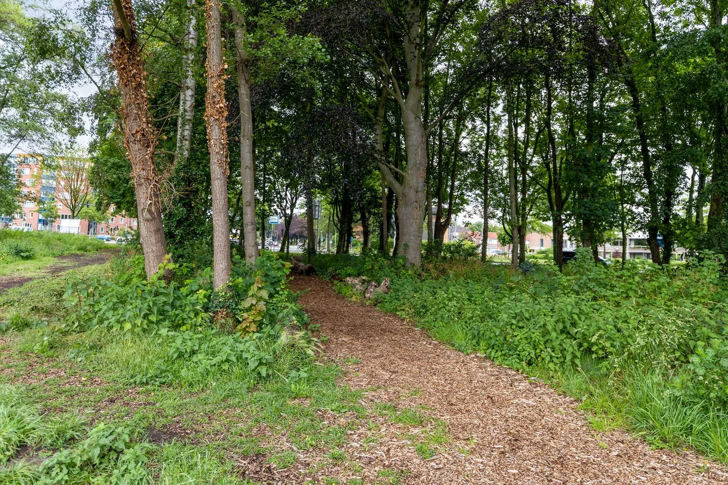 Hulsdonksestraat 31 a Roosendaal thumbnail 28