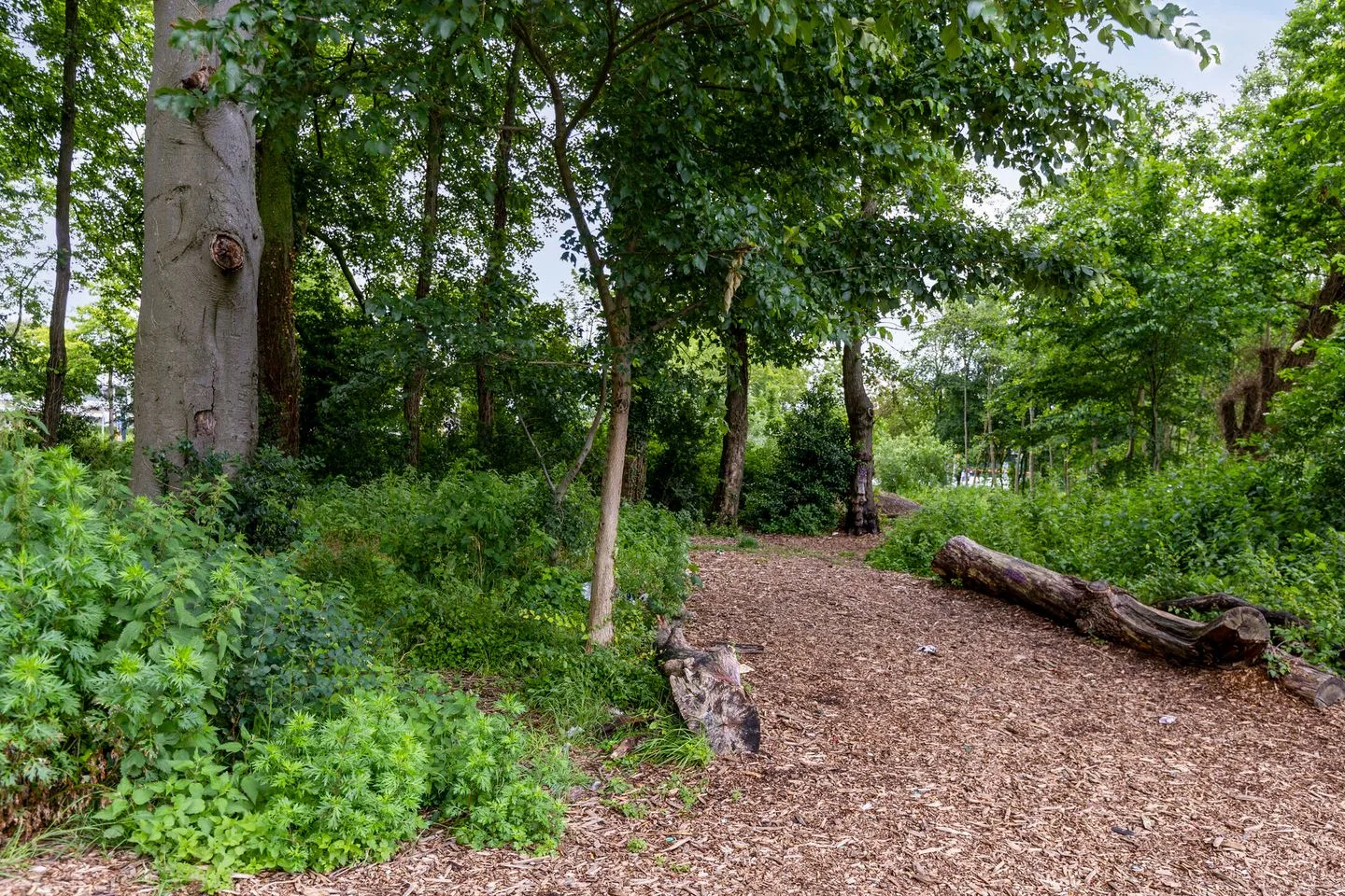 Hulsdonksestraat 31 a Roosendaal thumbnail 29
