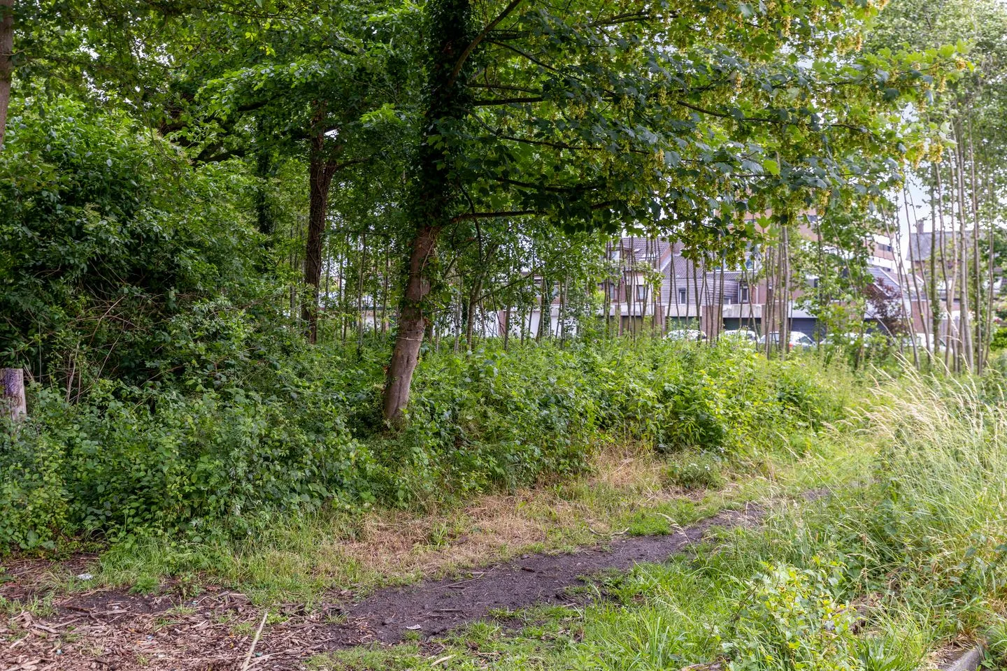 Hulsdonksestraat 31 a Roosendaal thumbnail 30
