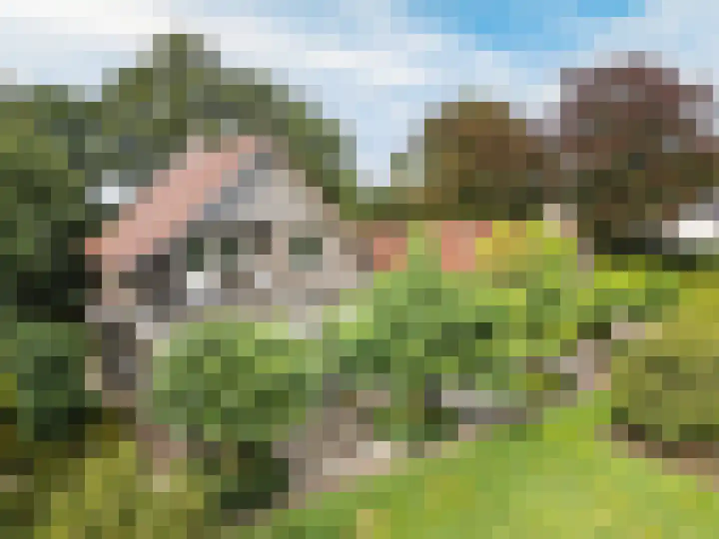Hulsdonkstraat 7 a Klein Zundert thumbnail 41