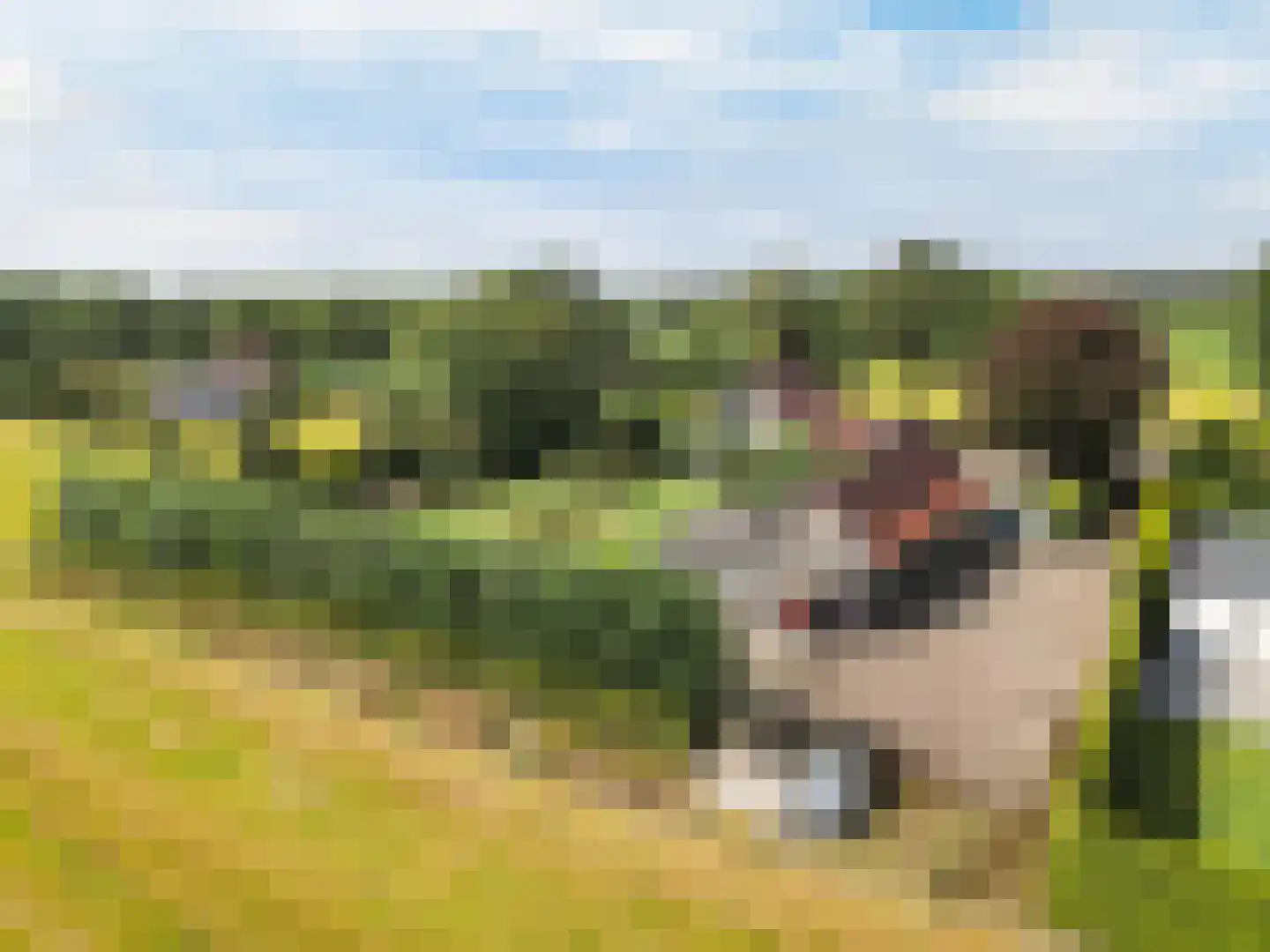 Hulsdonkstraat 7 a Klein Zundert thumbnail 43