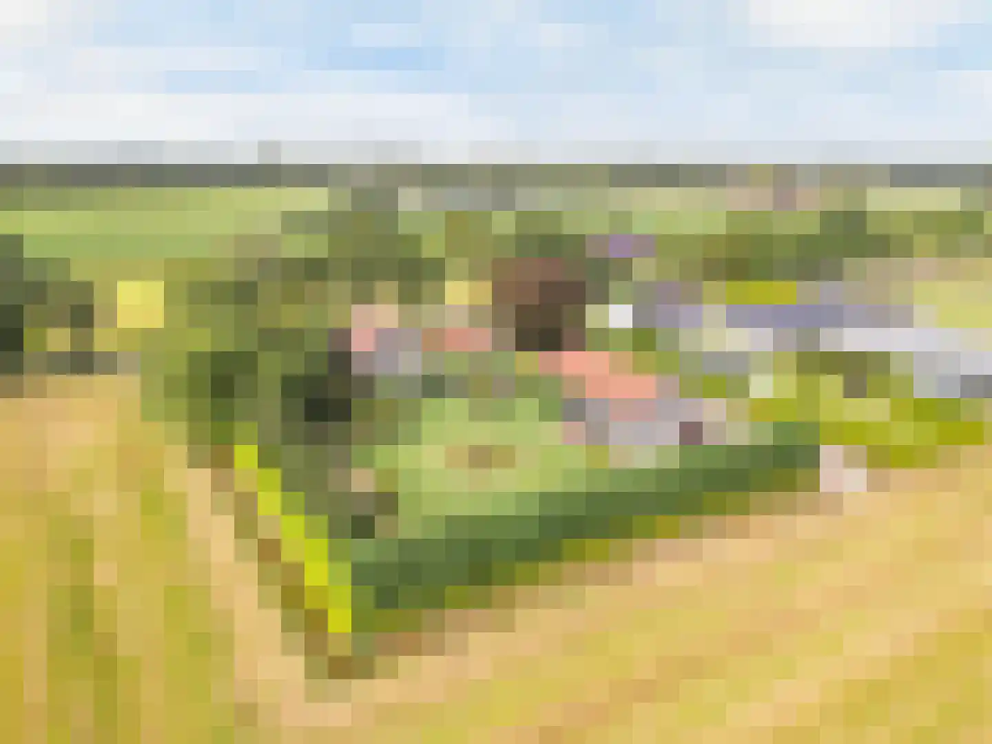 Hulsdonkstraat 7 a Klein Zundert thumbnail 44