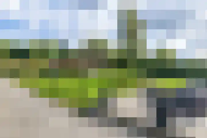 Hulserstraat 12 Geulle thumbnail 18