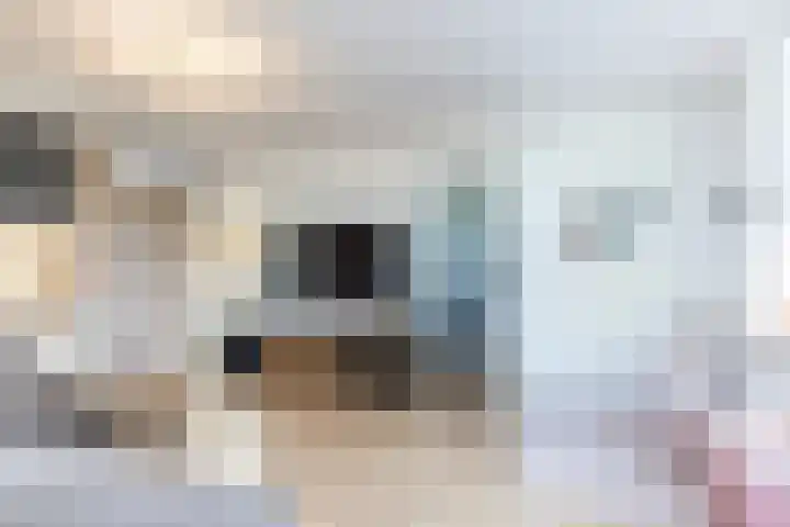 Hulserstraat 12 Geulle thumbnail 8