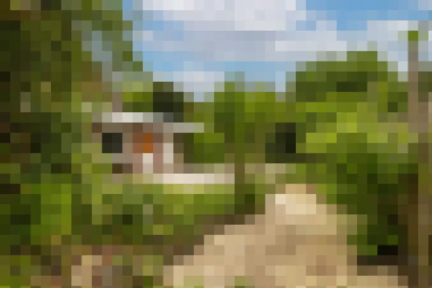 Hulserstraat 88 Geulle thumbnail 31