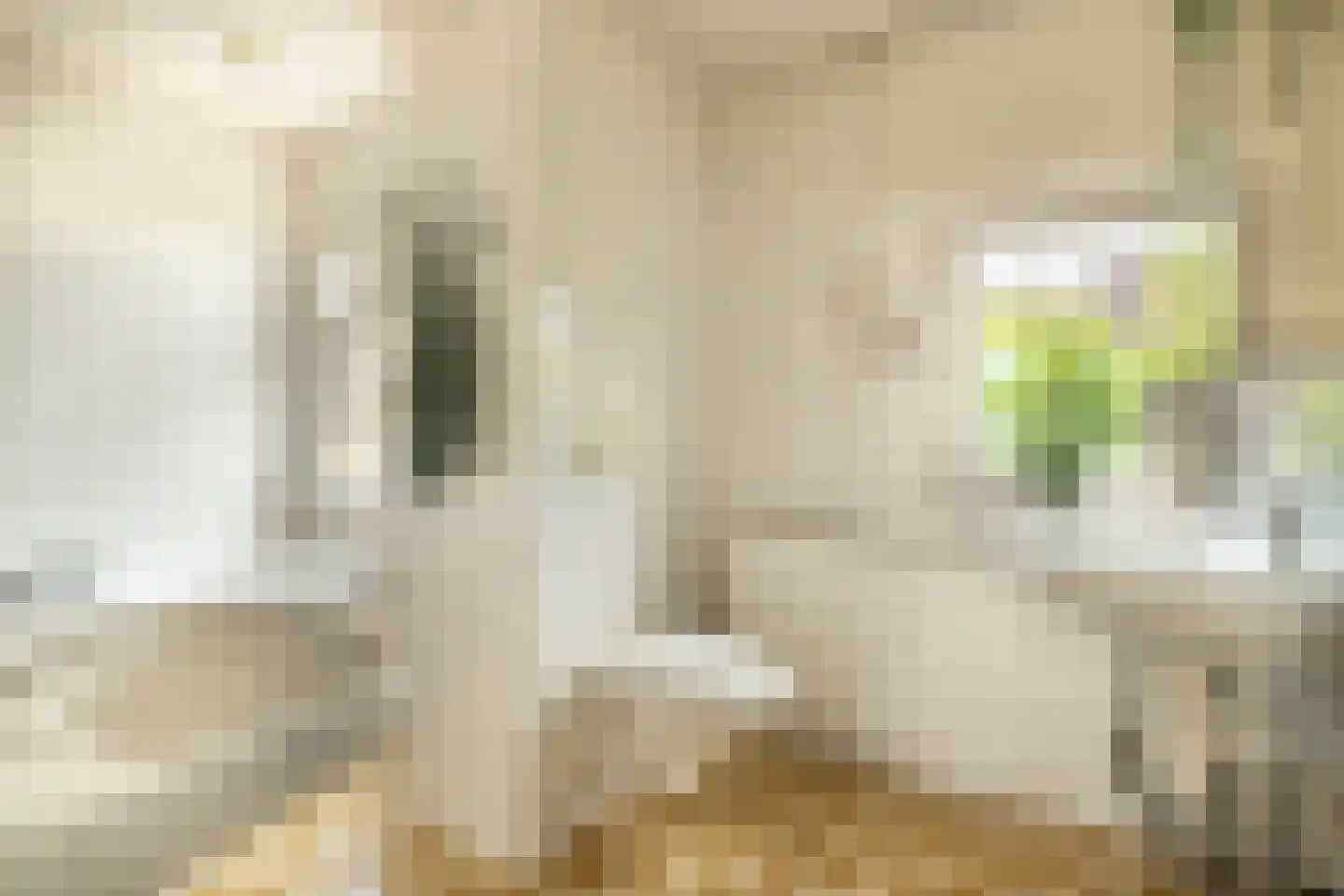 Hulserstraat 88 Geulle thumbnail 4