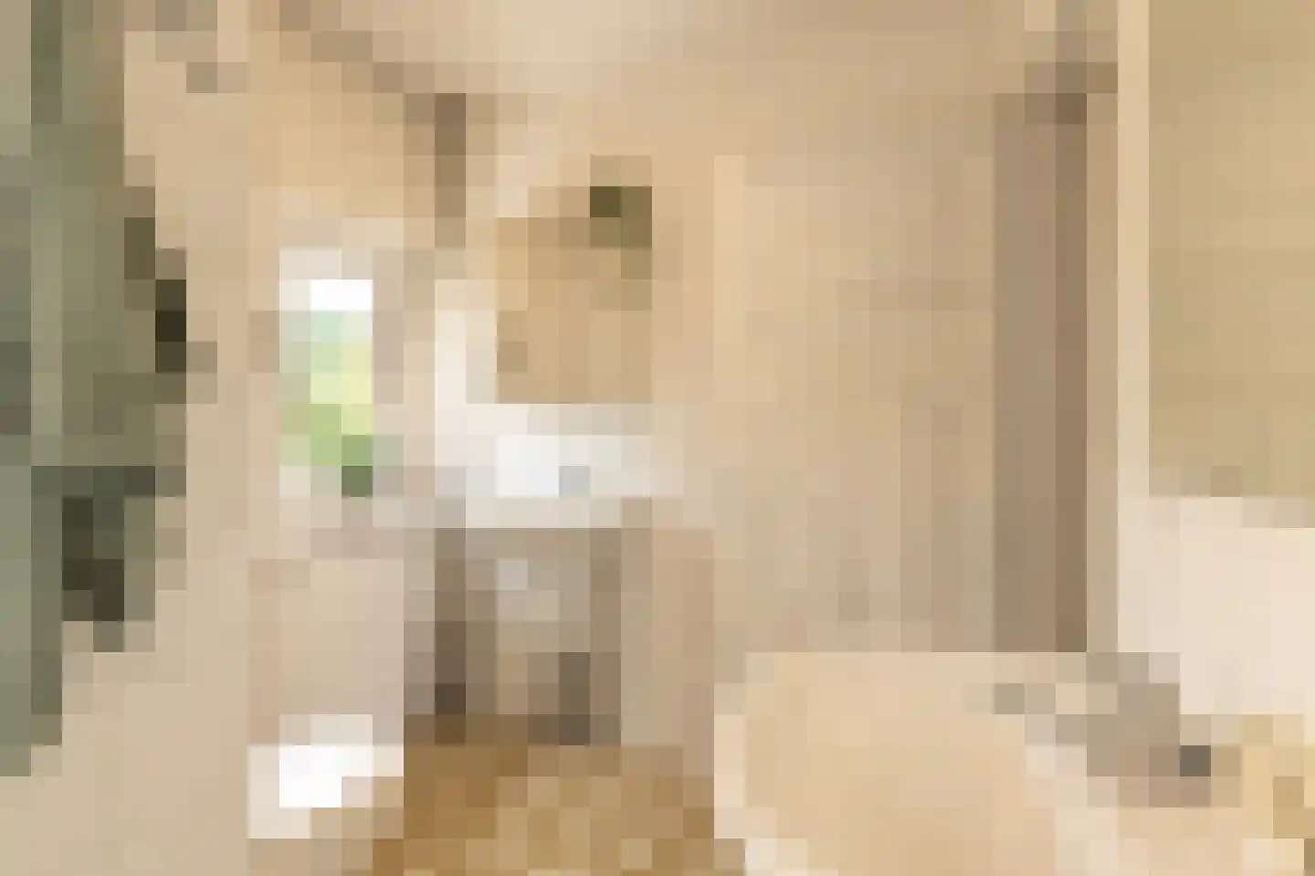 Hulserstraat 88 Geulle thumbnail 43