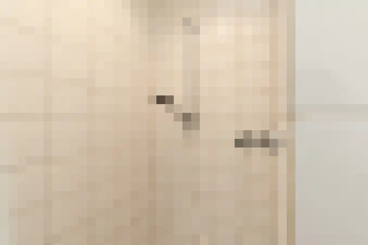 Hulserstraat 88 Geulle thumbnail 47
