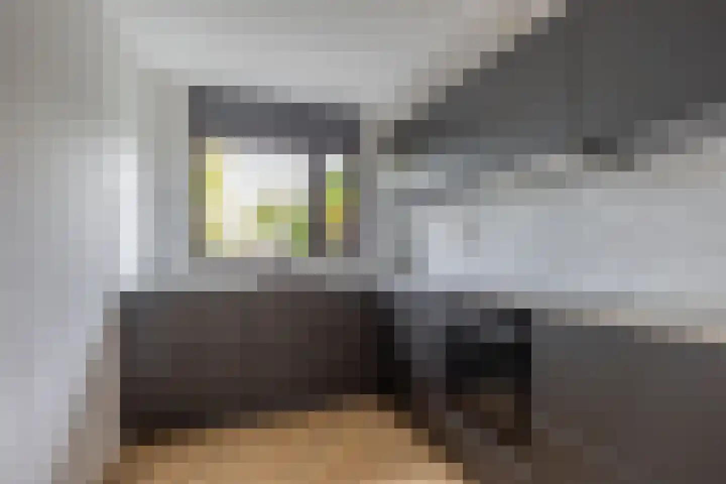 Hulsestraat 24 Sittard thumbnail 13