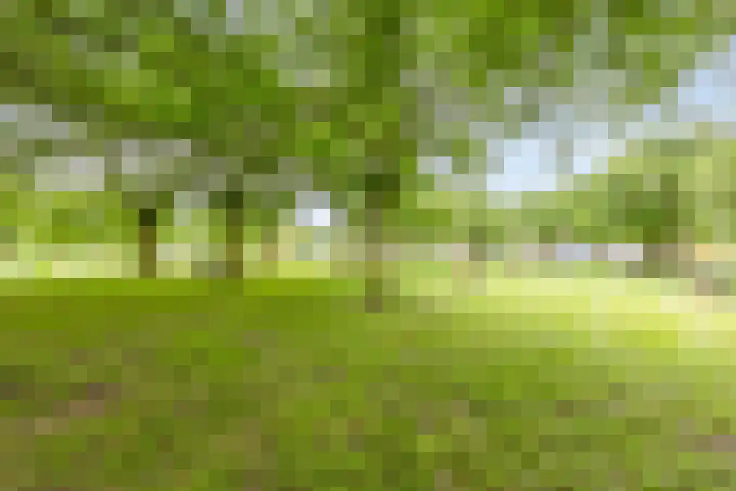 Hulsestraat 24 Sittard thumbnail 7