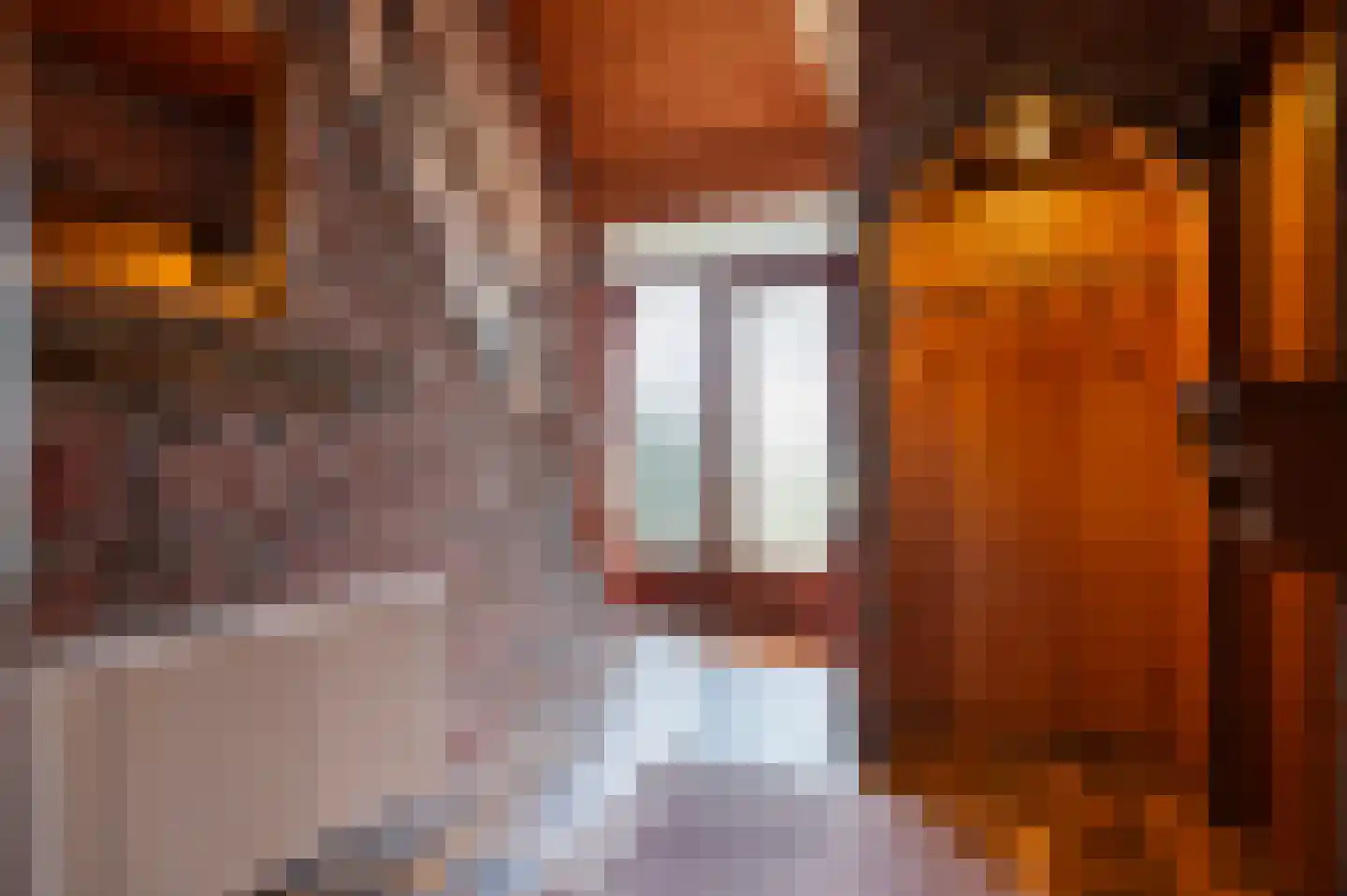 Hulshofweg 1 Ruurlo thumbnail 14