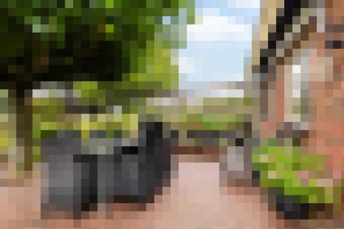 Hulshofweg 1 Ruurlo thumbnail 19