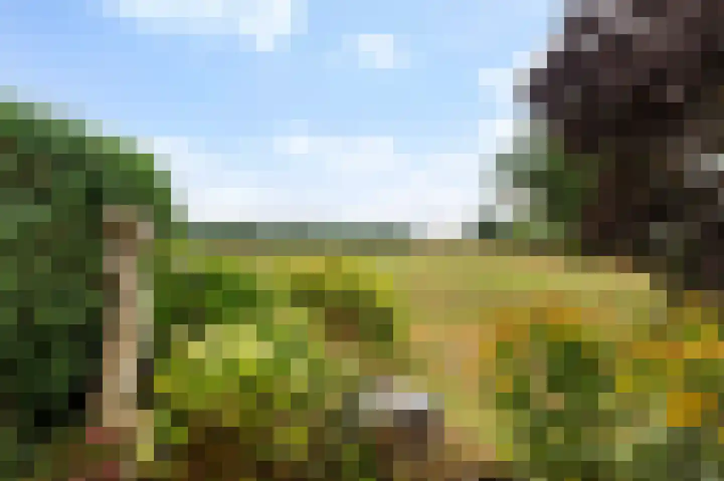 Hulshofweg 1 Ruurlo thumbnail 20