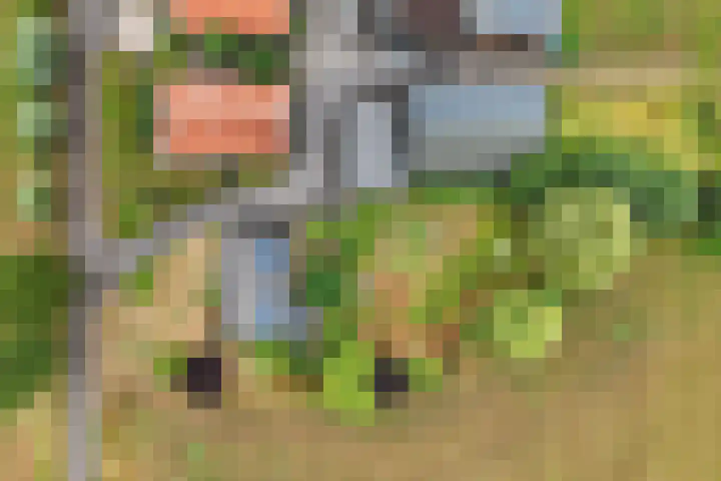 Hulshofweg 1 Ruurlo thumbnail 28