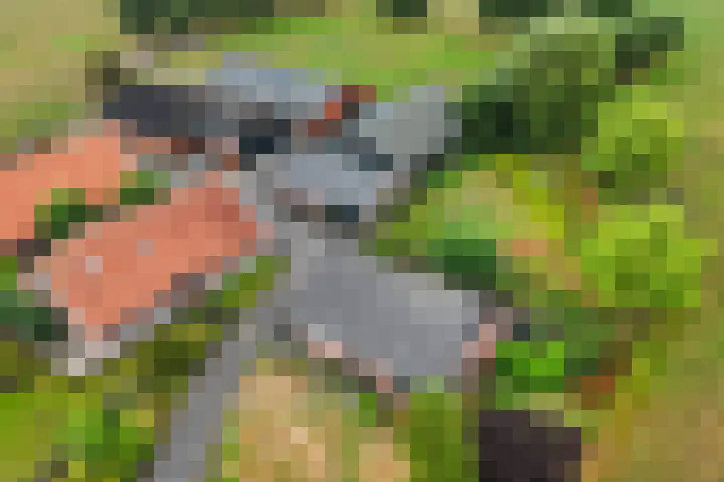 Hulshofweg 1 Ruurlo thumbnail 29