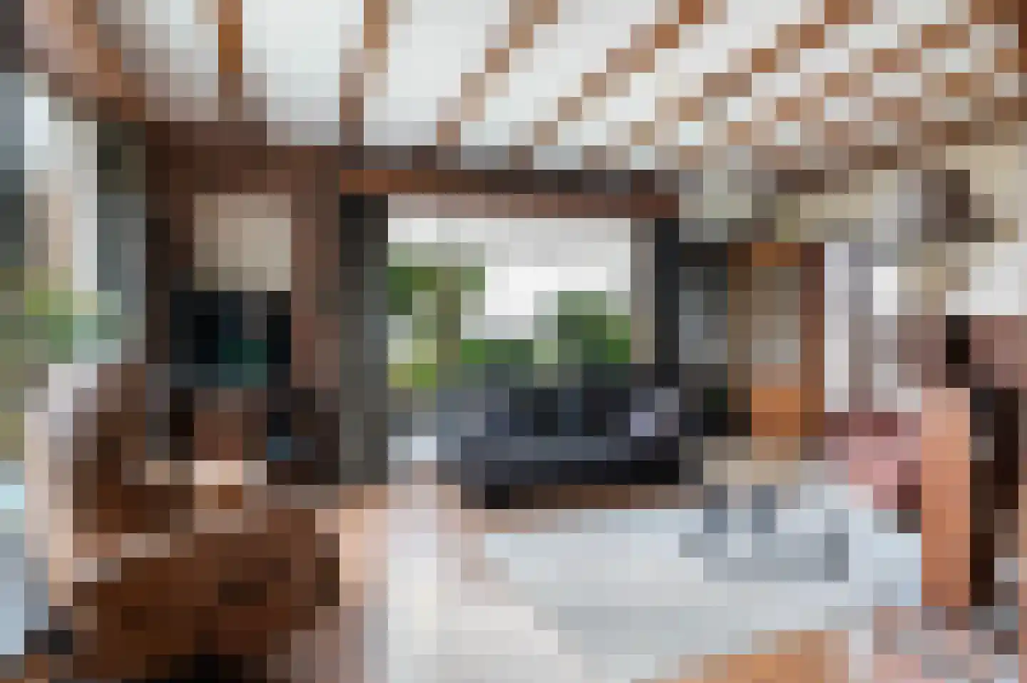 Hulshofweg 1 Ruurlo thumbnail 4