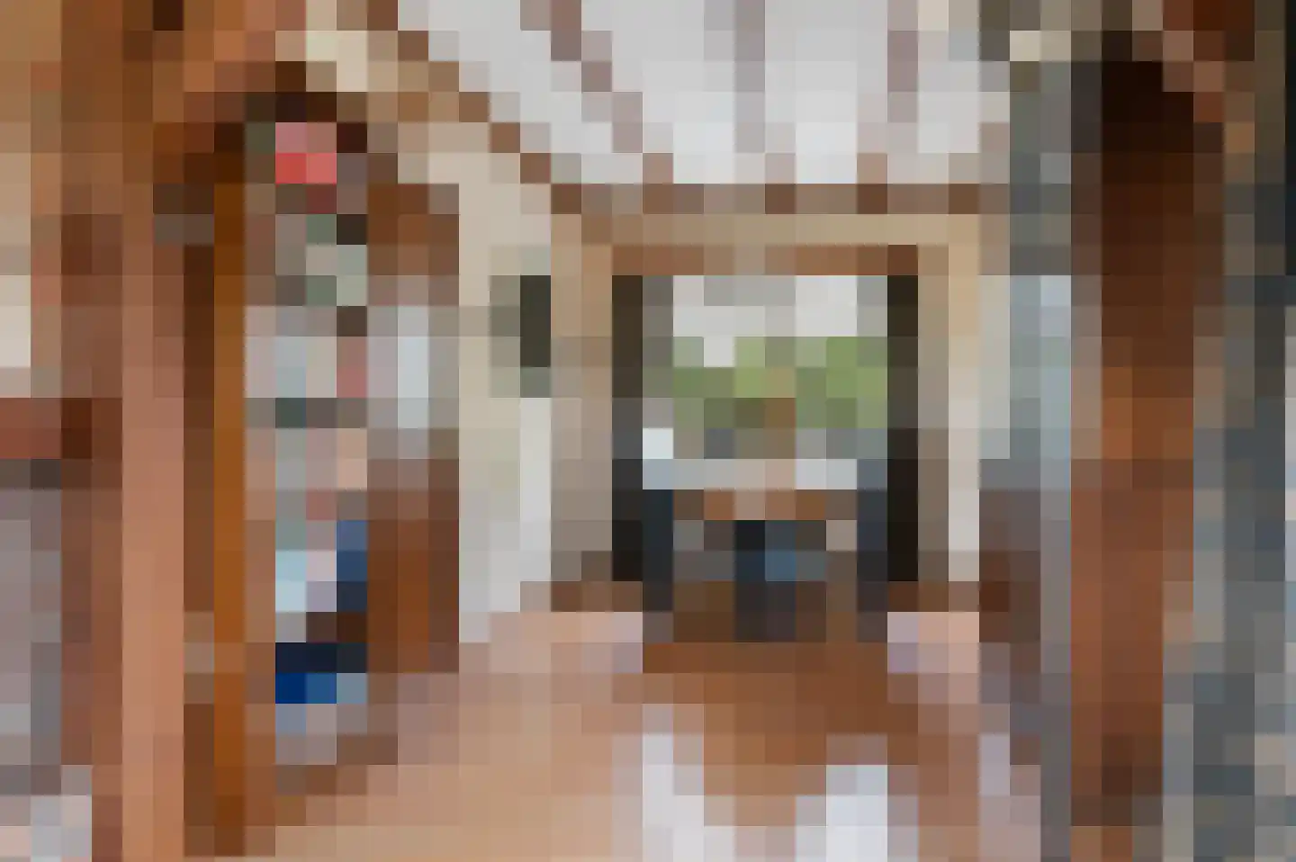 Hulshofweg 1 Ruurlo thumbnail 6