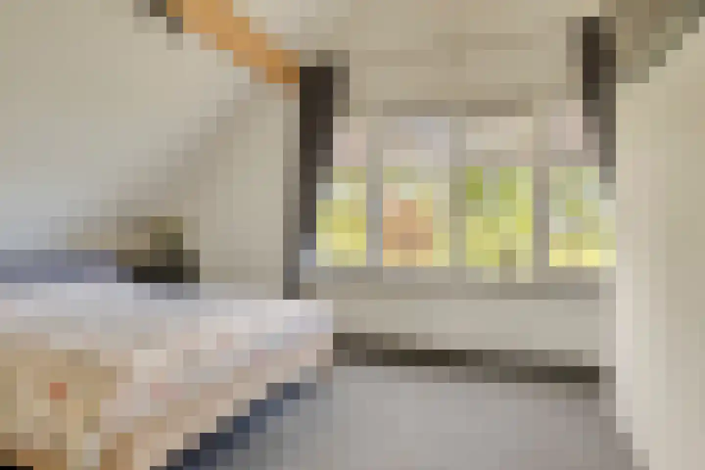 Hulshofweg 8 a Ruurlo thumbnail 36
