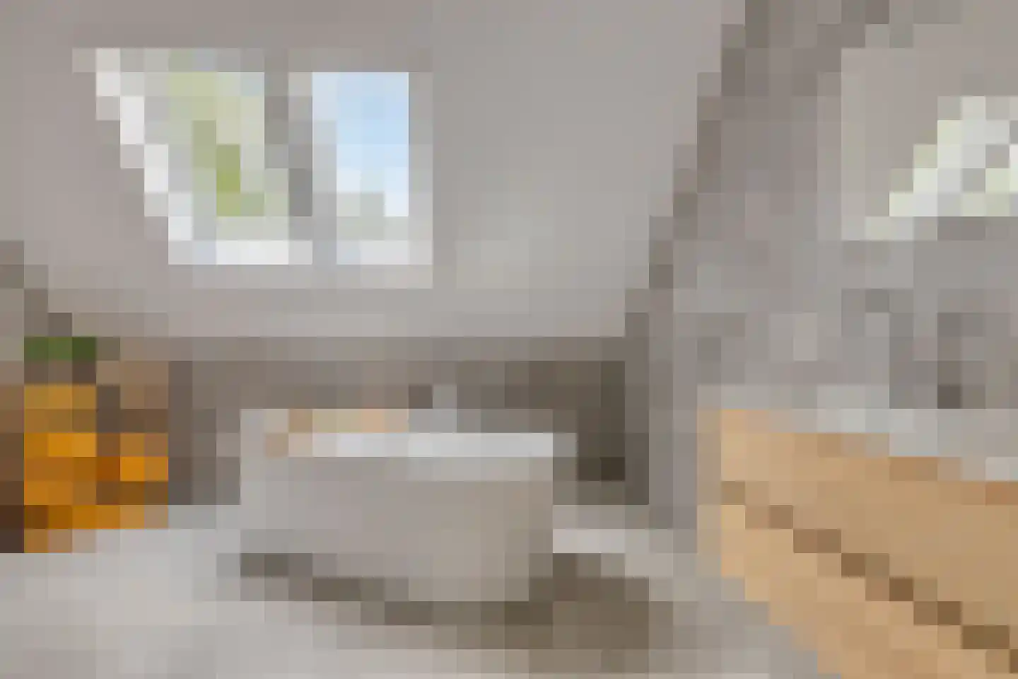 Hulshofweg 8 a Ruurlo thumbnail 40