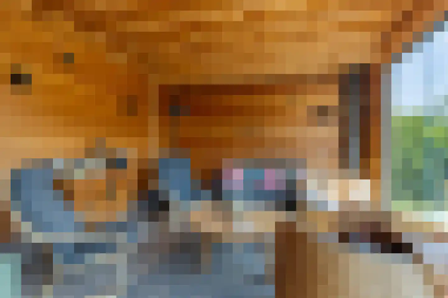 Hulshofweg 8 a Ruurlo thumbnail 52