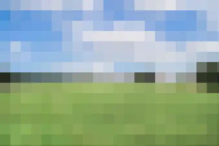 Hulshorsterzand 15 Amersfoort thumbnail 32