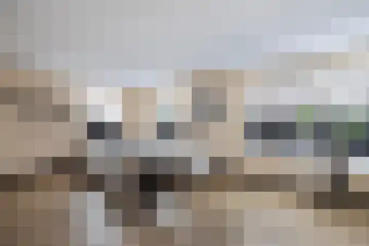 Hulshorstpad 1 Emmeloord thumbnail 10