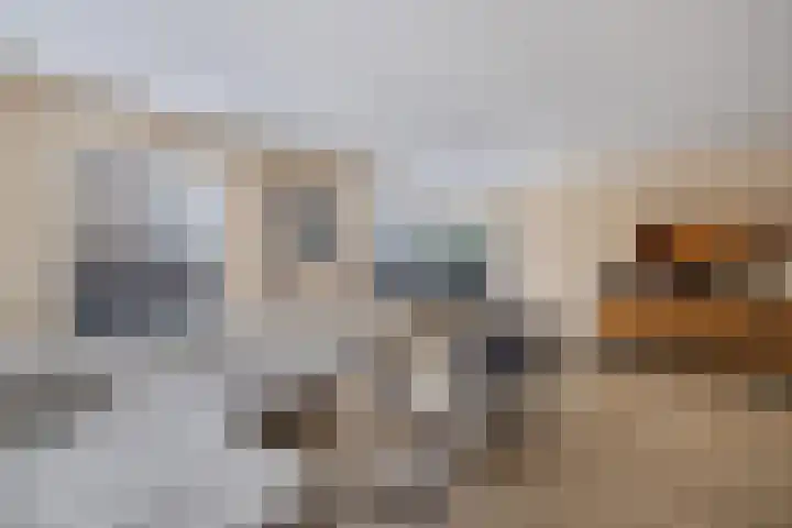 Hulshorstpad 1 Emmeloord thumbnail 12
