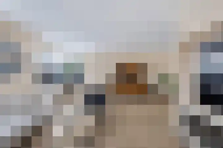 Hulshorstpad 1 Emmeloord thumbnail 13