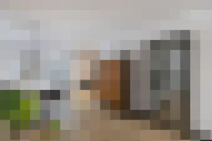 Hulshorstpad 1 Emmeloord thumbnail 14