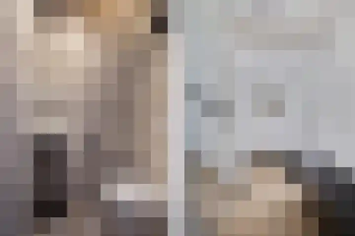 Hulshorstpad 1 Emmeloord thumbnail 17
