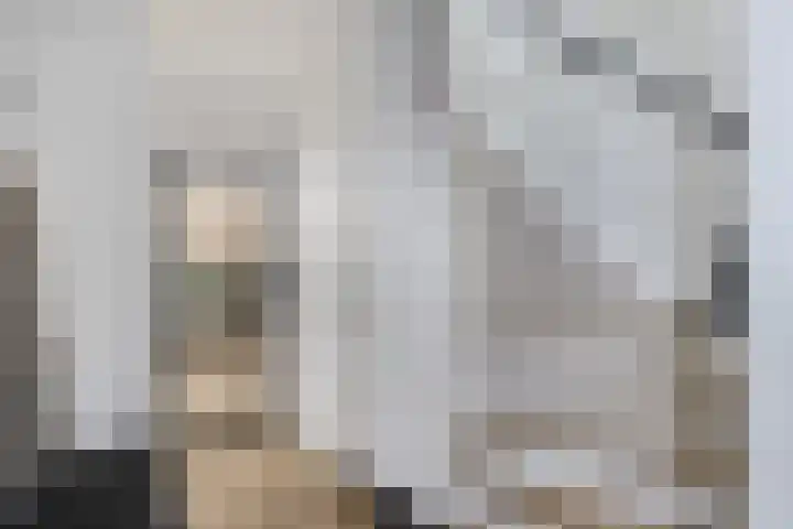Hulshorstpad 1 Emmeloord thumbnail 18