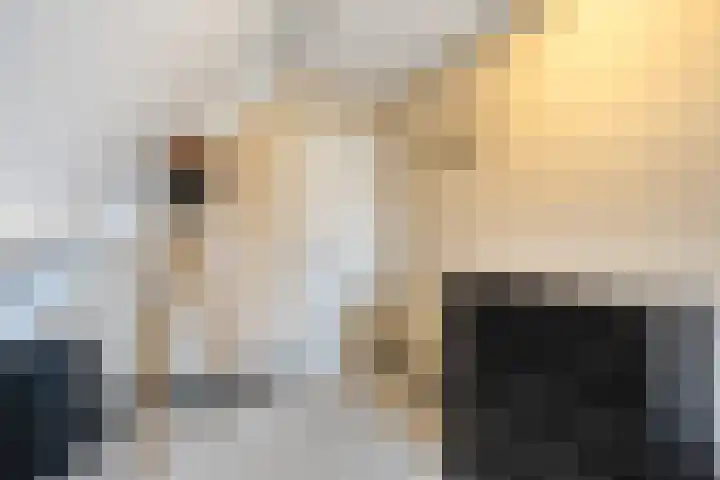 Hulshorstpad 1 Emmeloord thumbnail 23