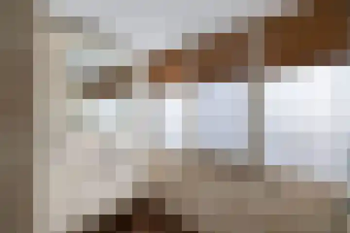 Hulshorstpad 1 Emmeloord thumbnail 24