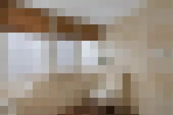 Hulshorstpad 1 Emmeloord thumbnail 25