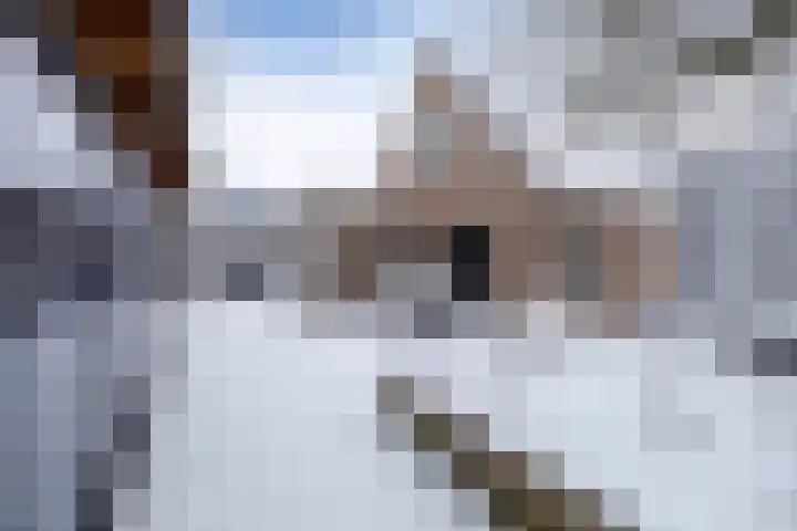 Hulshorstpad 1 Emmeloord thumbnail 28