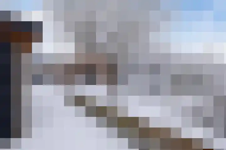 Hulshorstpad 1 Emmeloord thumbnail 33