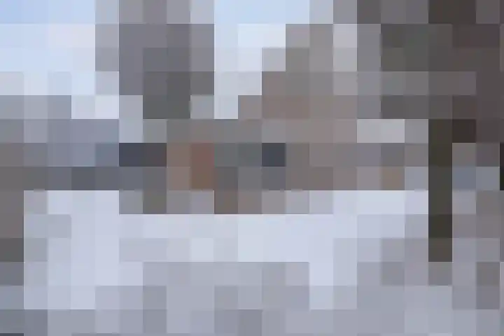 Hulshorstpad 1 Emmeloord thumbnail 36