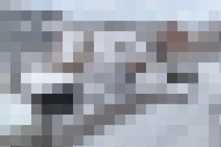 Hulshorstpad 1 Emmeloord thumbnail 37