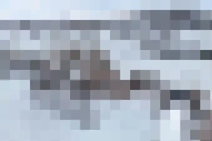 Hulshorstpad 1 Emmeloord thumbnail 39