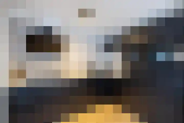 Hulshorstpad 1 Emmeloord thumbnail 4